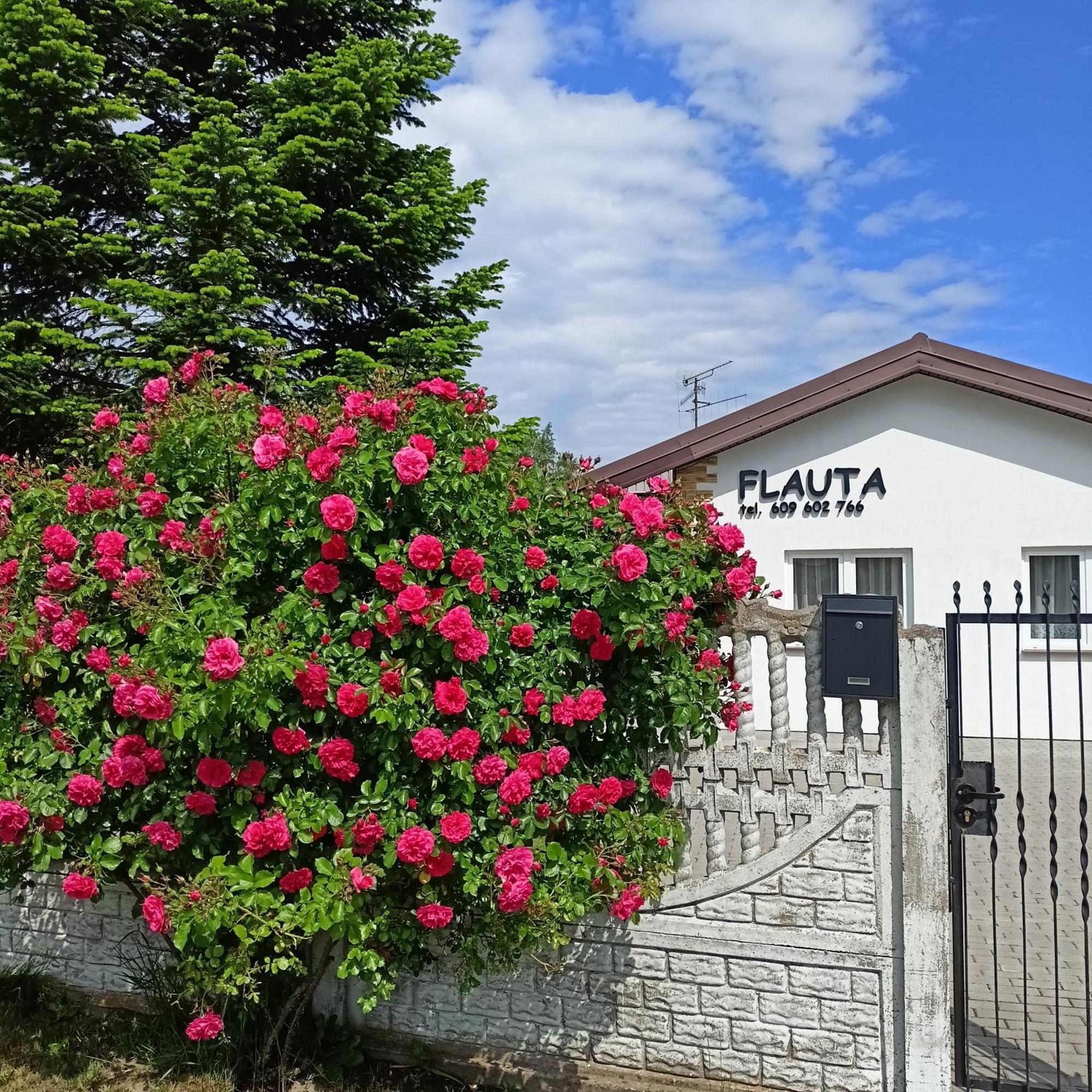 Flauta Apartamenty Rodzinne Меленко Экстерьер фото